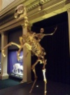 Skeleton Rider. Sydney Museum
